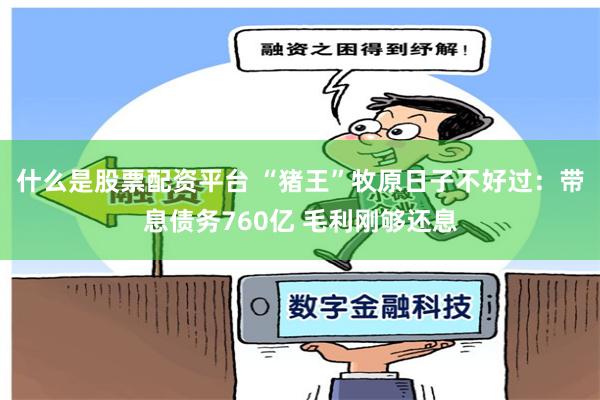 什么是股票配资平台 “猪王”牧原日子不好过：带息债务760亿 毛利刚够还息